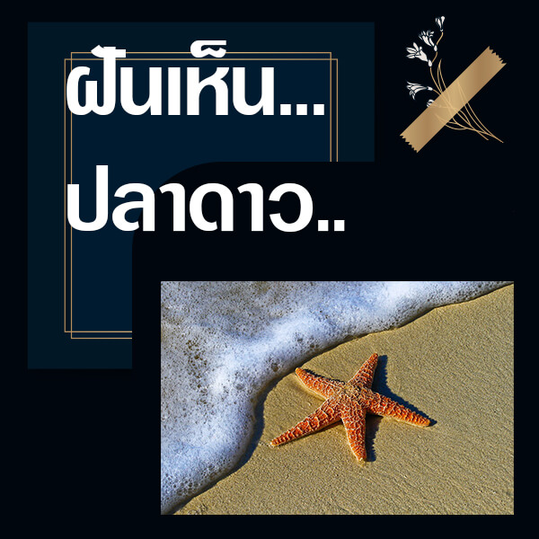 เว็บหวย ทำนายฝันเห็นปลาดาว