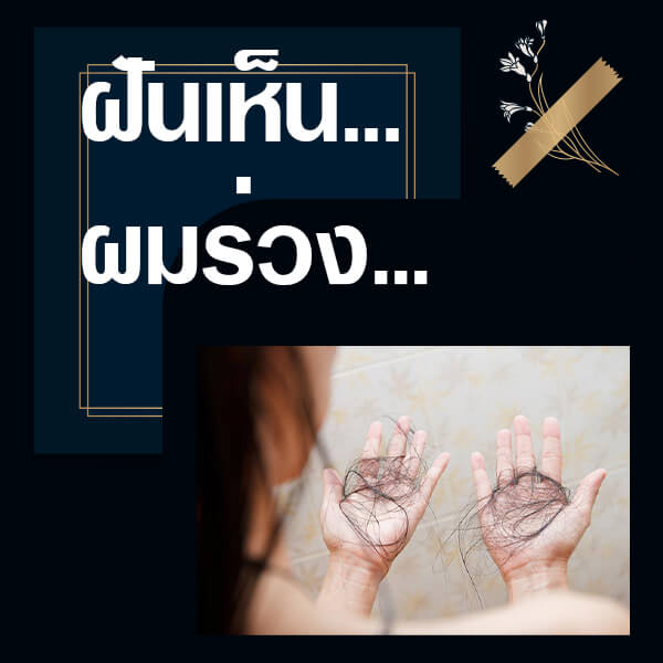 หวยวันนี้ ทำนายฝันเห็นผมร่วง
