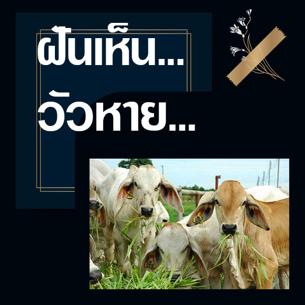 เลขเด็ดvip ทำนายฝันเห็นวัวหาย