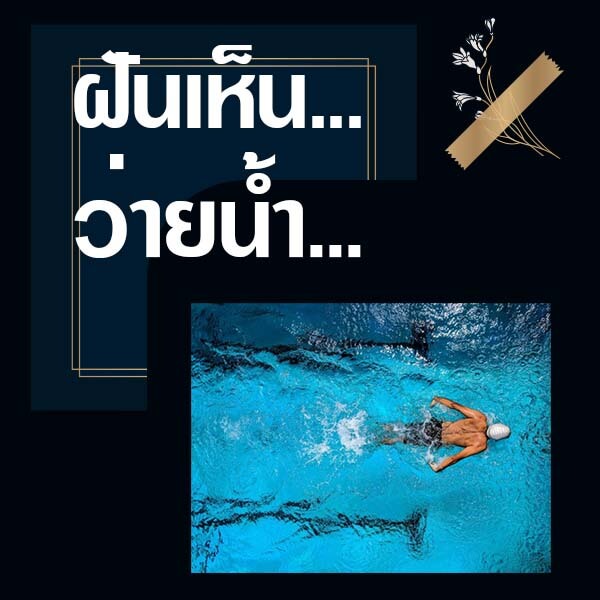 แทงหวย 24 ทำนายฝันเห็นว่ายน้ำ