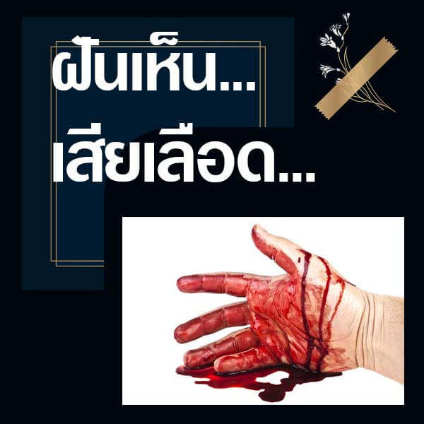 เว็บหวย ทำนายฝันเห็นเสียเลือด