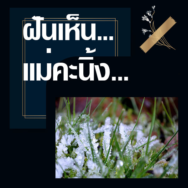 เว็บหวย ทำนายฝันเห็นแม่คะนิ้ง