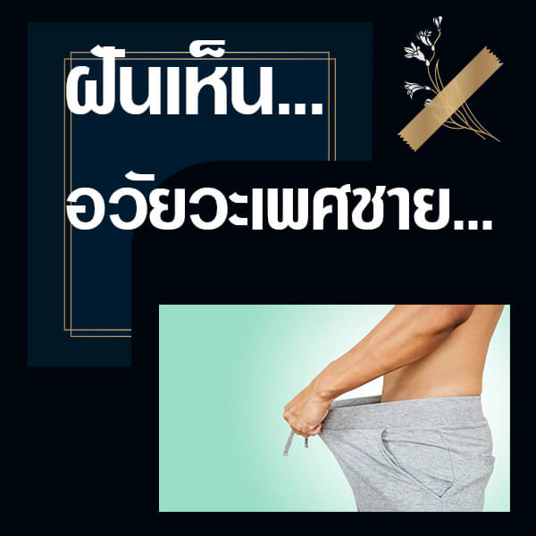 เว็บหวย ฝันเห็นอวัยวะเพศชาย