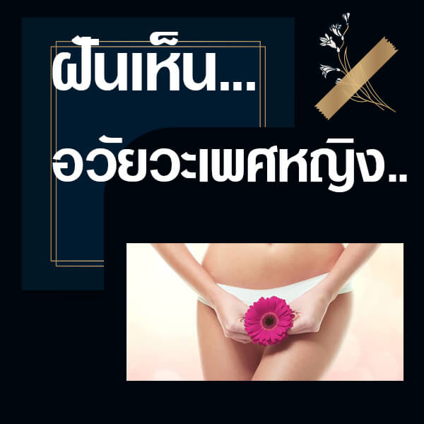 เลขเด็ดvip ฝันเห็นอวัยวะเพศหญิง