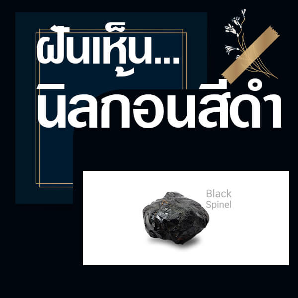 แทงหวย ทำนายฝันเห็นนิล