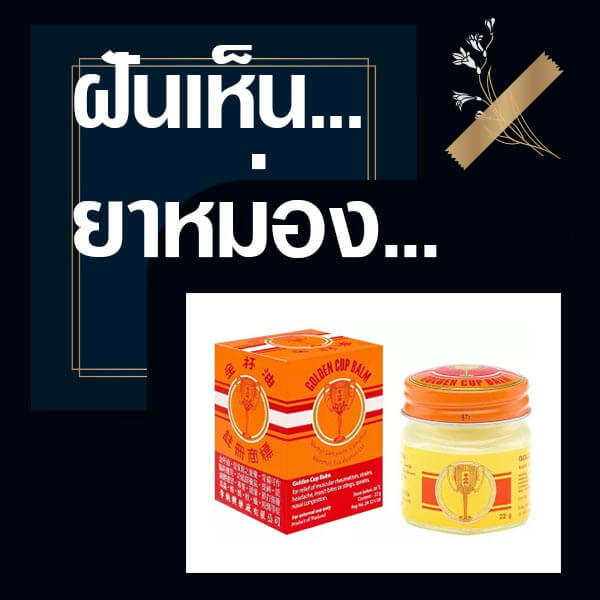 เว็บหวย ทำนายฝันเห็นยาหม่อง