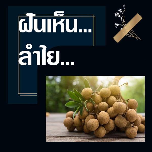 เว็บหวย ทำนายฝันเห็นลำไย