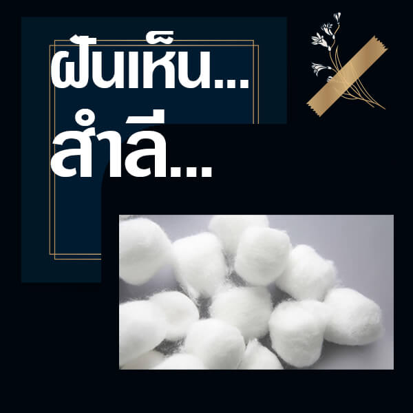 หวย ทำนายฝันเห็นสำลี