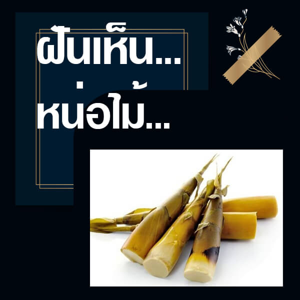 เว็บหวย ทำนายฝันเห็นหน่อไม้