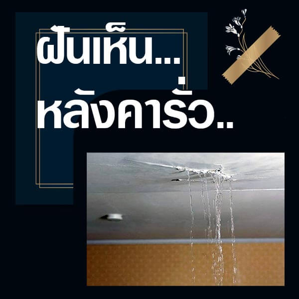 หวย ทำนายฝันเห็นหลังคารั่ว