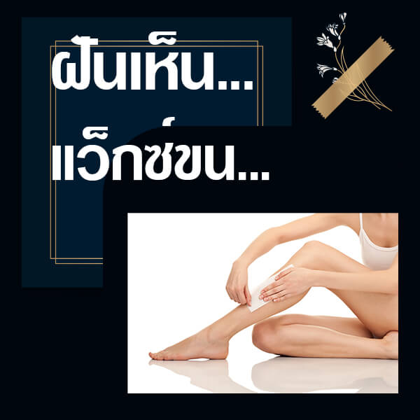 แทงหวย 24 ทำนายฝันเห็นแว็กซ์ขน
