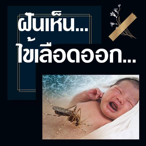 เว็บหวย ฝันเห็นไข้เลือดออก