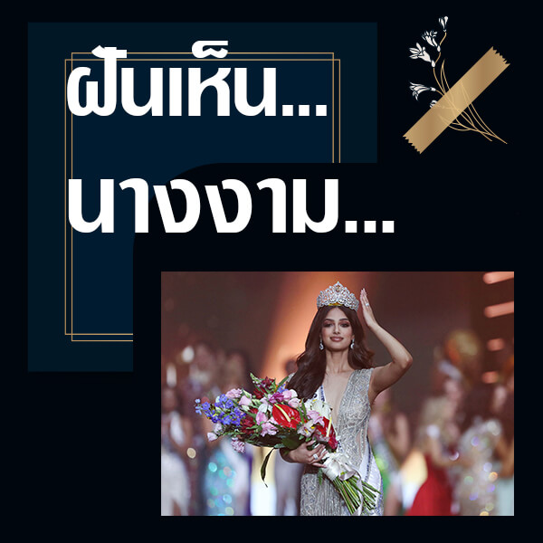 แทงหวย ทำนายฝันเห็นนางงาม