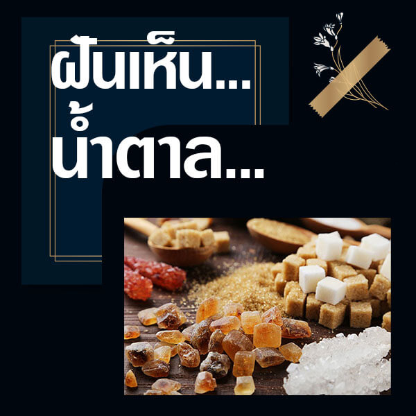 เว็บหวย ทำนายฝันเห็นน้ำตาล