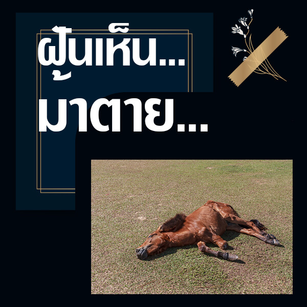 เว็บหวย ทำนายฝันเห็นม้าตาย