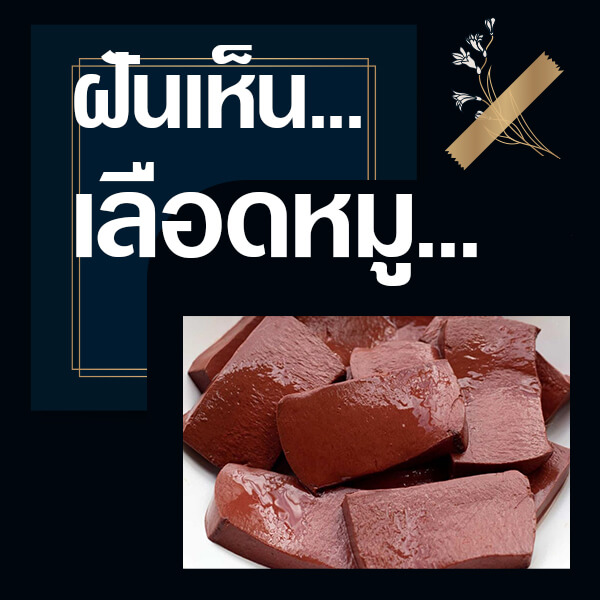 เว็บหวย ทำนายฝันเห็นเลือดหมู