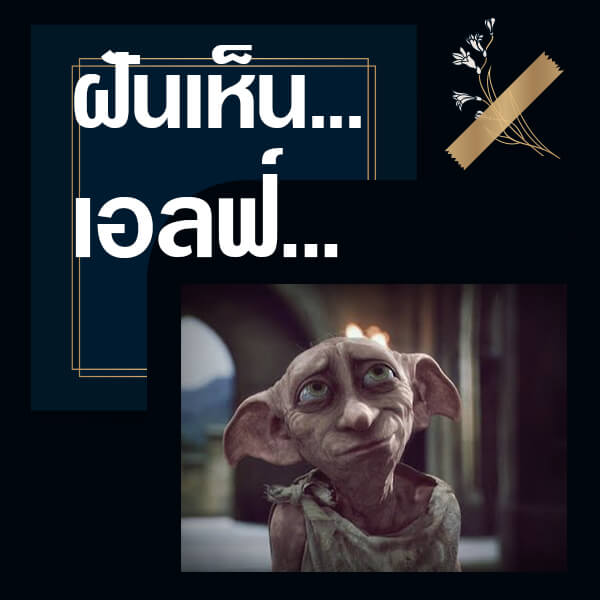 เว็บหวย ทำนายฝันเห็นเอลฟ์