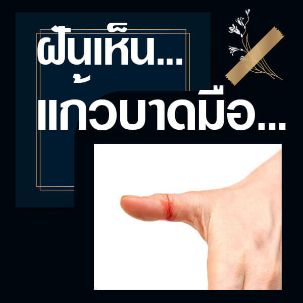 แทงหวย ทำนายฝันเห็นแก้วบาดมือ