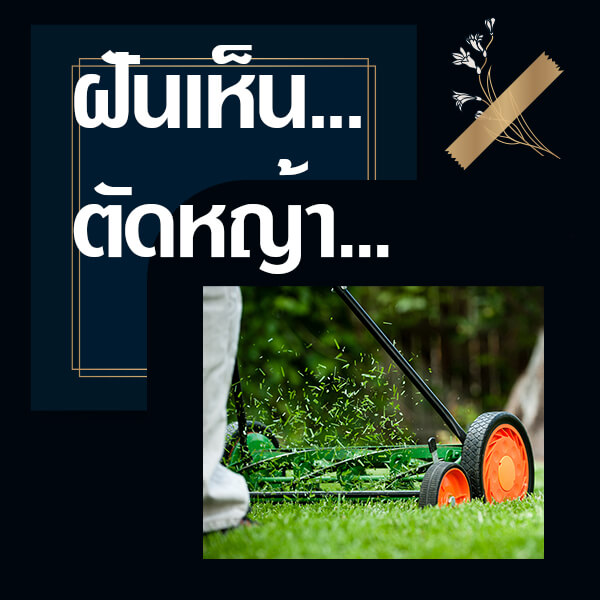 เว็บหวย ทำนายฝันเห็นตัดหญ้า