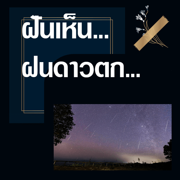 เว็บหวย ทำนายฝันเห็นฝนดาวตก