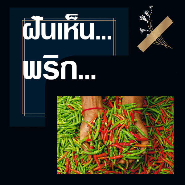 เว็บหวย ทำนายฝันเห็นพริก