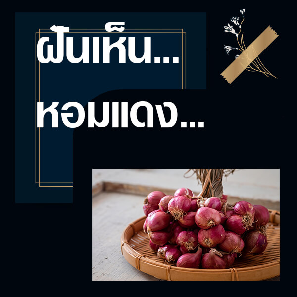 แทงหวย 24 ฝันเห็นหอมแดง