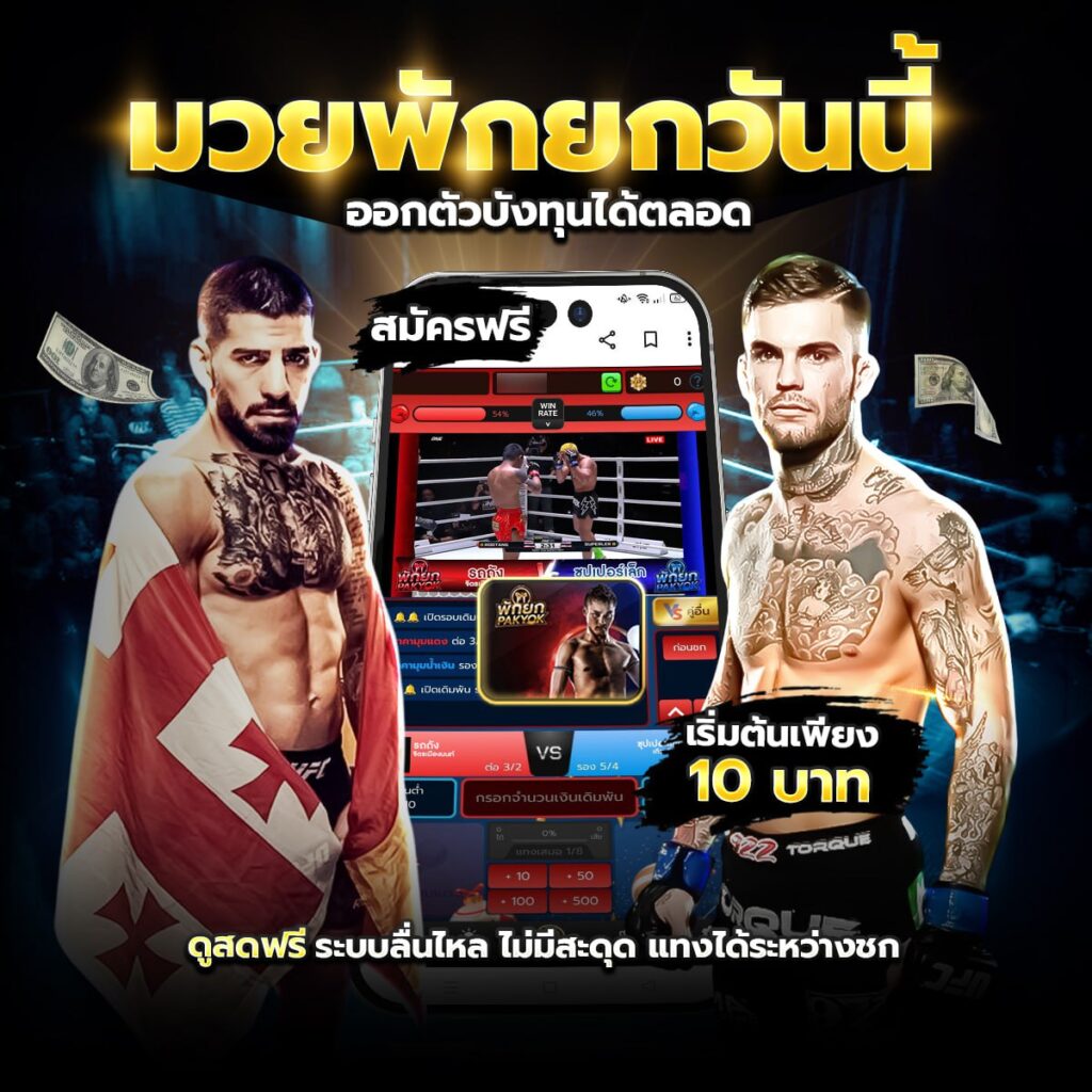 เว็บแทงมวย