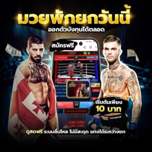 เว็บแทงมวย